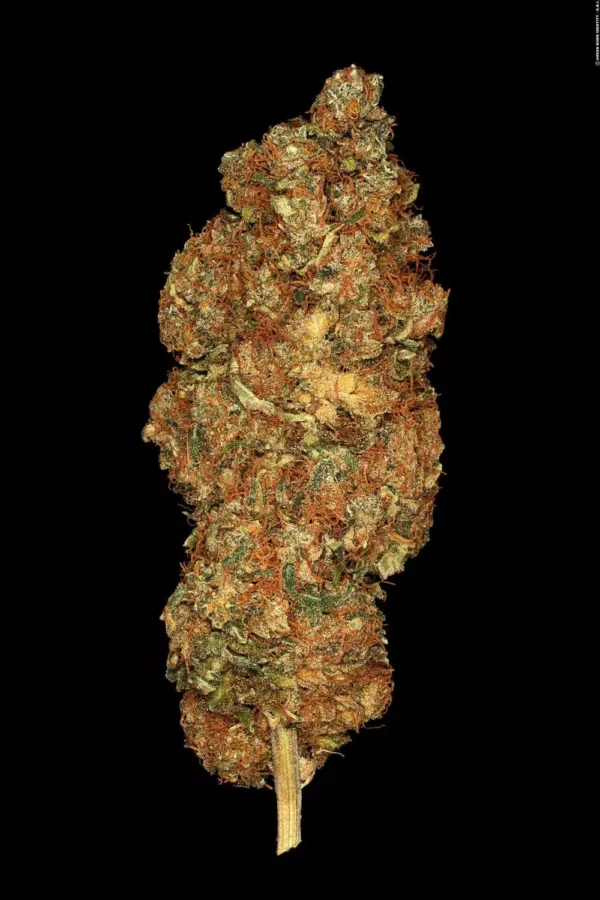 Space Cookies - Imagem 4