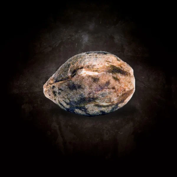 Space Cookies - Imagem 3