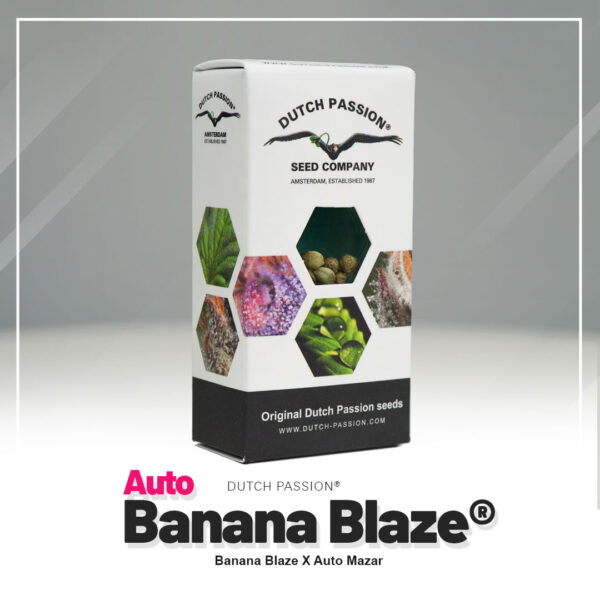 Auto Banana Blaze® - Imagem 4