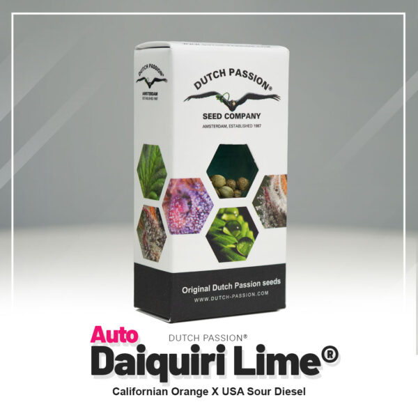 Auto Daiquiri Lime® - Imagem 5