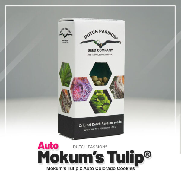 Auto Mokum’s Tulip® - Imagem 5