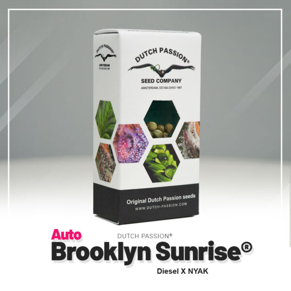 Auto Brooklyn Sunrise® - Imagem 5