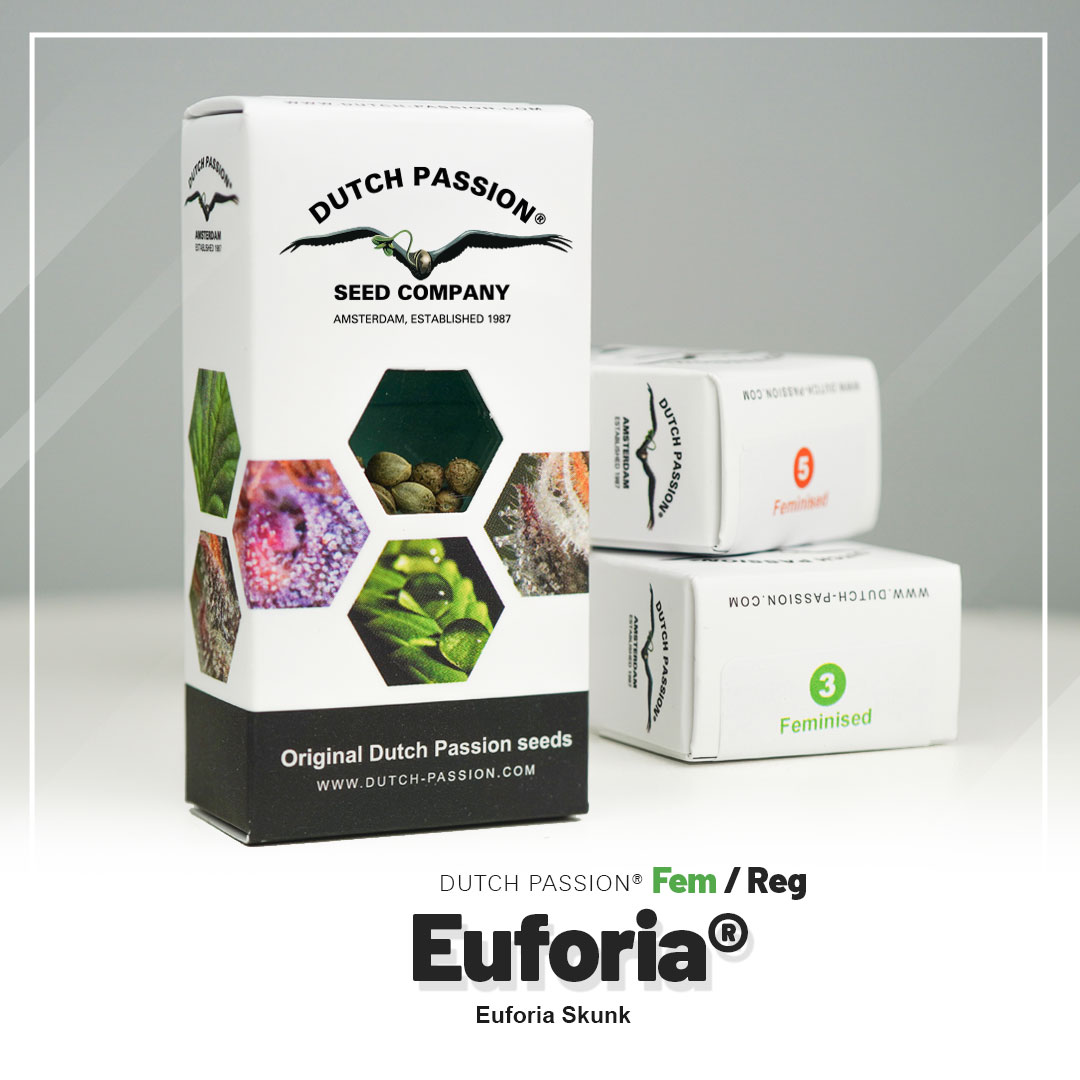 Euforia® - Imagem 5