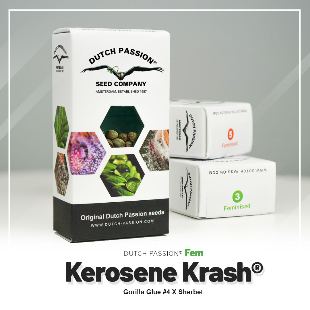 Kerosene Krash® - Imagem 5