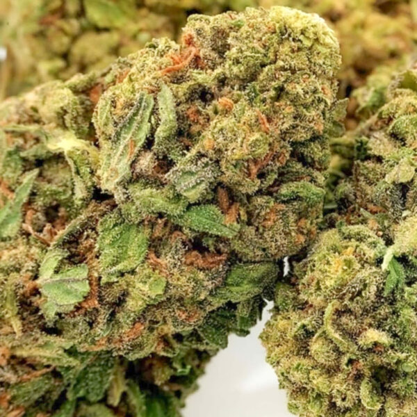 Kosher Haze Regular - Imagem 2