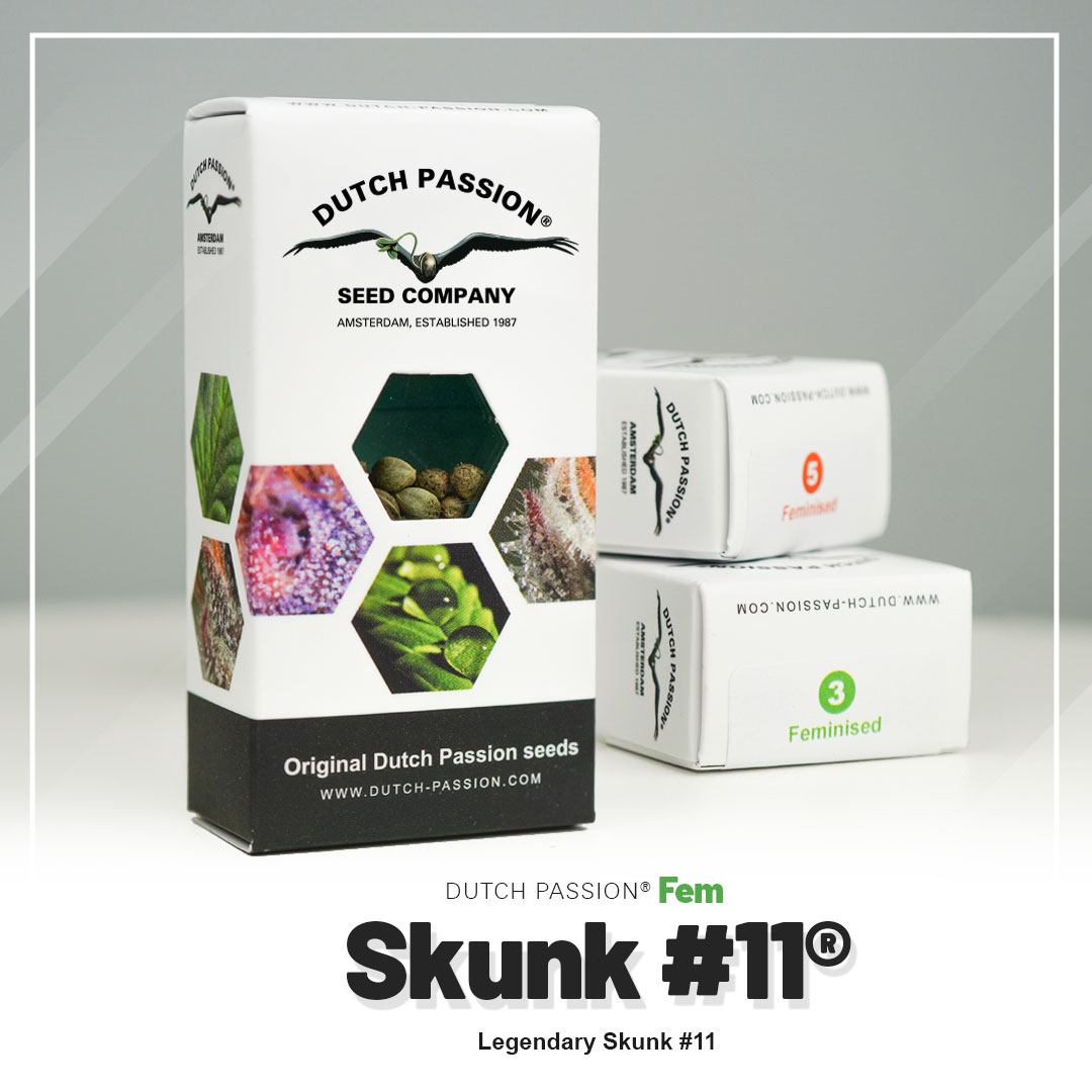 Skunk #11® - Imagem 5