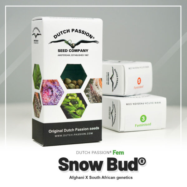 Snow Bud® - Imagem 5