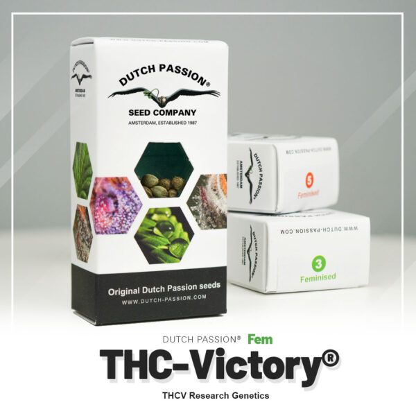 THC-Victory® - Imagem 5