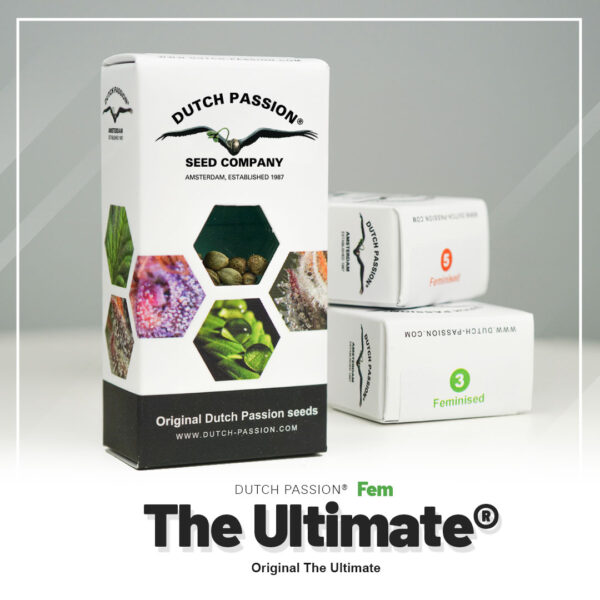 Auto Ultimate® - Image 5
