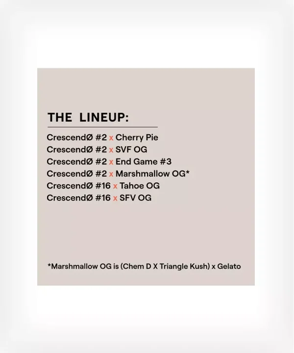 CrescendØ Multipack - line-up - ETHOS - Netseeds