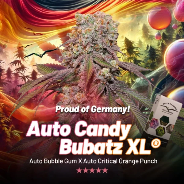 Auto Candy Bubatz XL® - Image 4