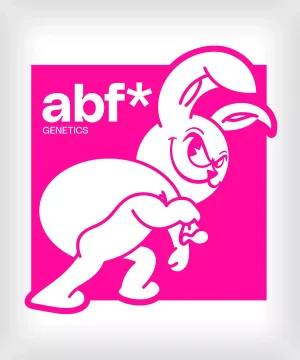 ABF-Geral