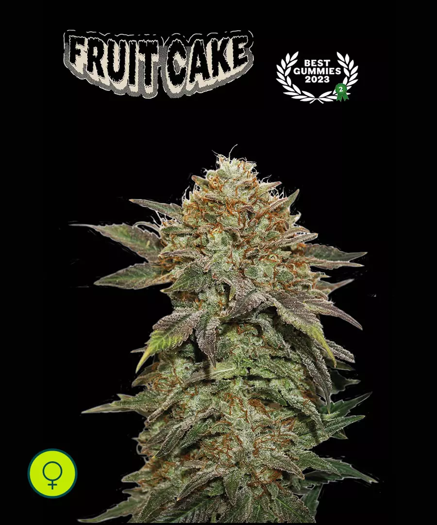 Fruit Cake