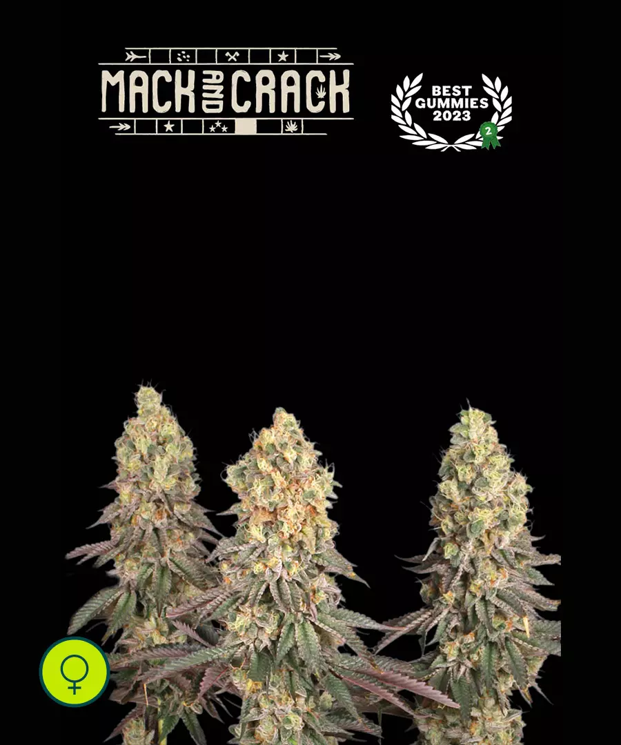 Mack & Crack