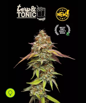 Terp & Tonic