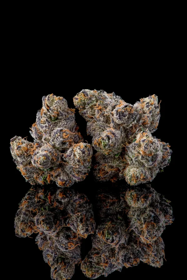 Runtz-2-Feminized-Cannabis-Seeds