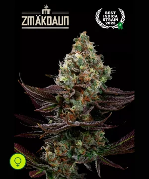 ZmÄkdaun