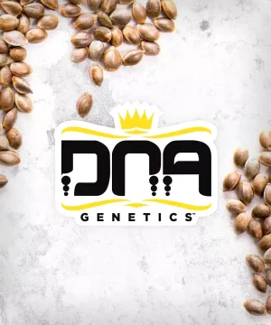 DNA-Genetics