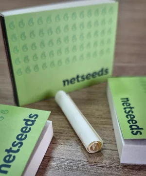Piteiras-Netseeds