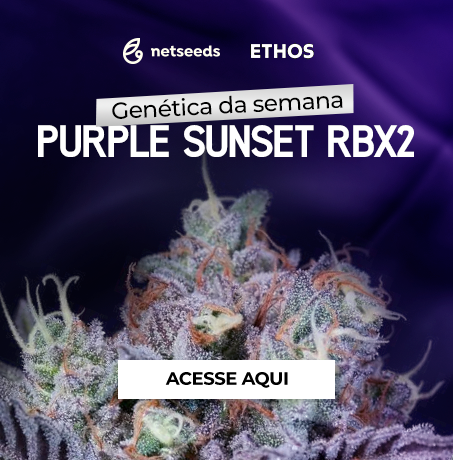purple_sunset-ethos