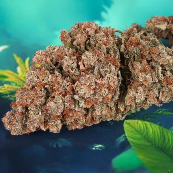 Auto Red Tropicana Cookies® - Imagem 5