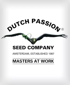 DUTCH PASSION - Card