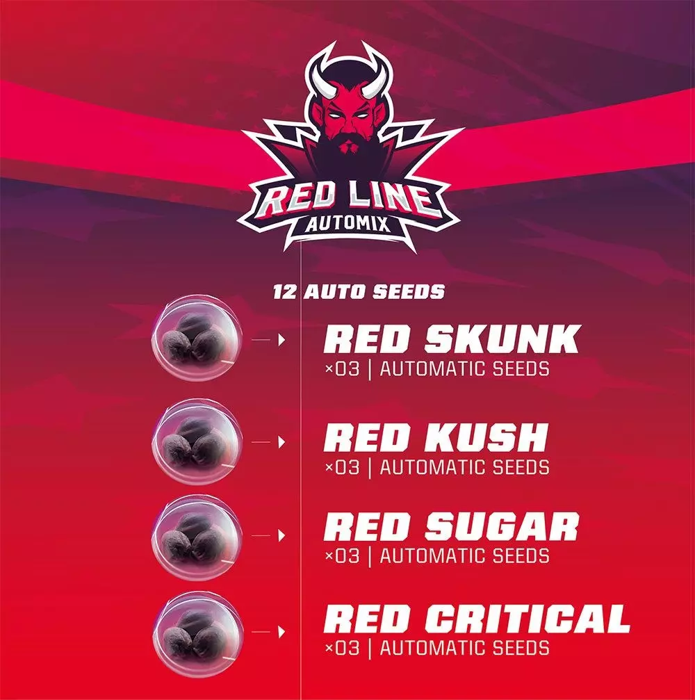 Red Line Automix - Imagem 3
