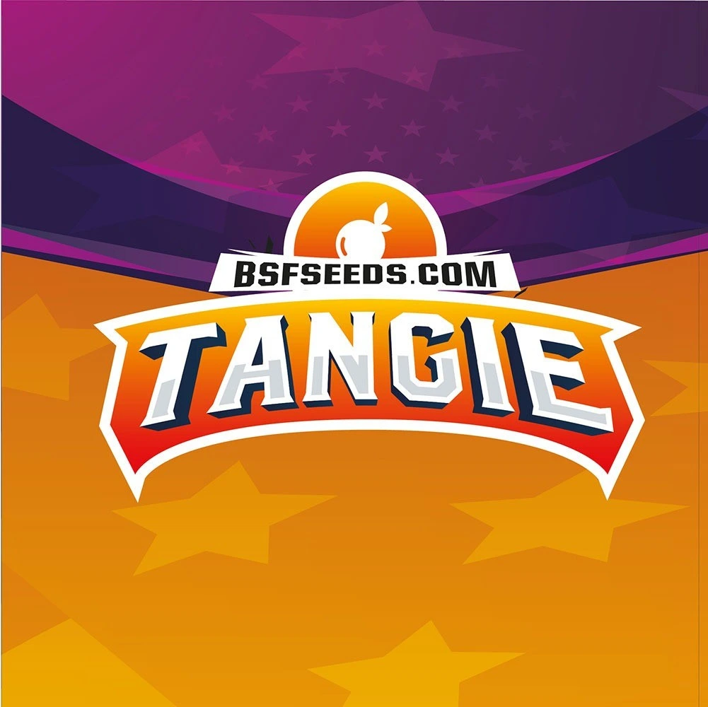 Tangie - Imagem 3