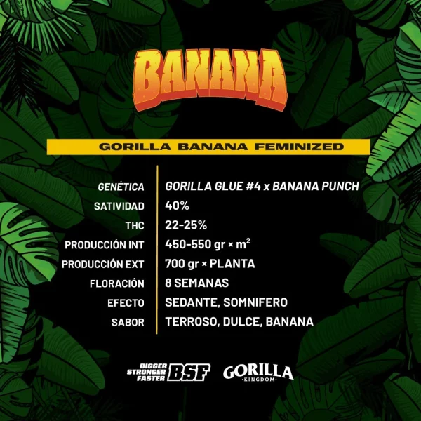 Gorilla Banana - Imagem 4