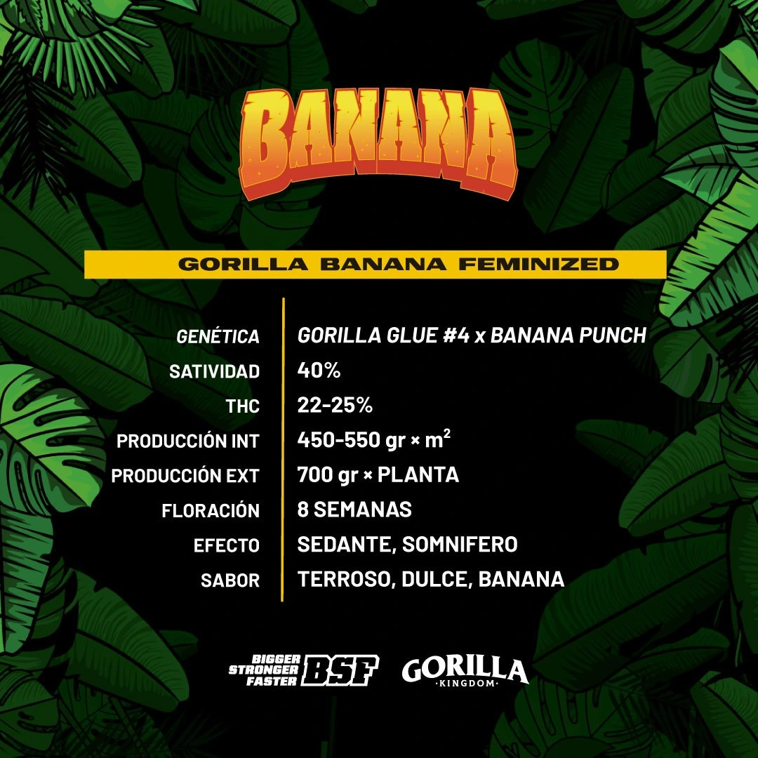 Gorilla Banana - Imagem 4