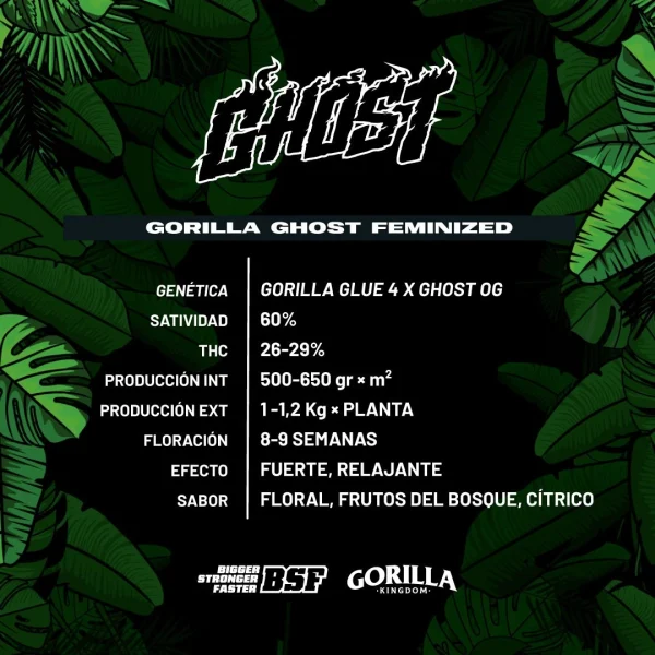 Gorilla Ghost - Imagem 3