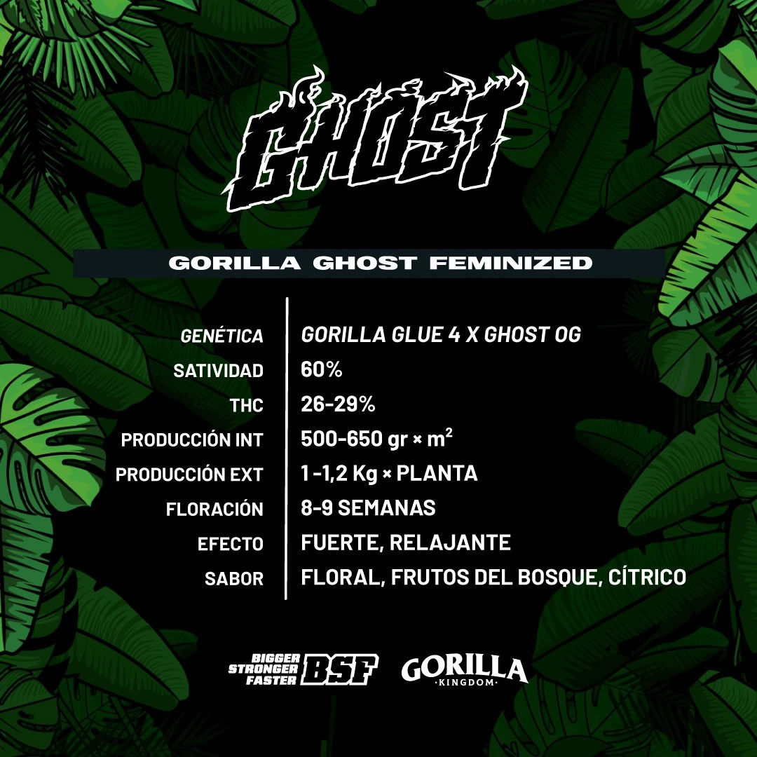 Gorilla Ghost - Imagem 3