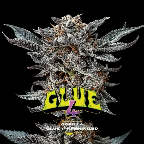 Gorilla Glue #4 - Imagem 5