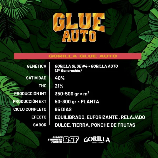 Gorilla Glue Auto - Imagem 3