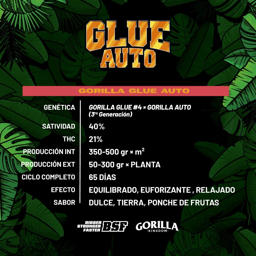 Gorilla Glue Auto - Imagem 3