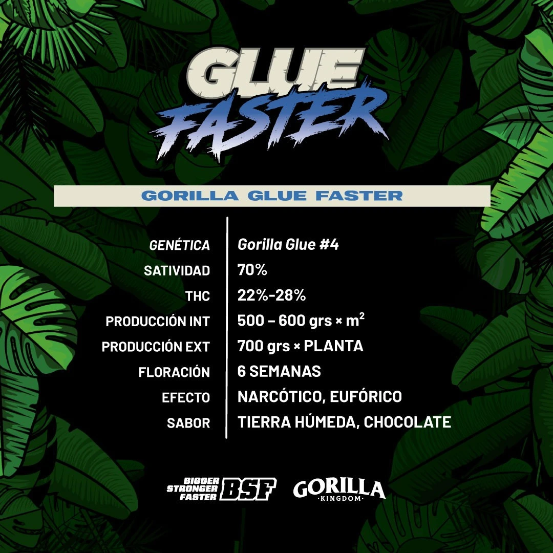 Gorilla Glue Faster Version - Imagem 3