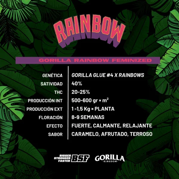 Gorilla Rainbow - Imagem 3
