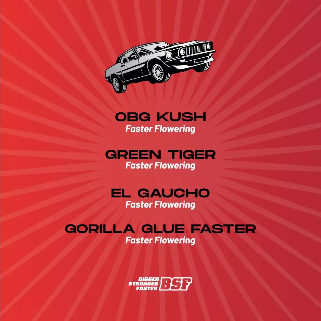 Faster And Furious Faster Mix - Imagem 3