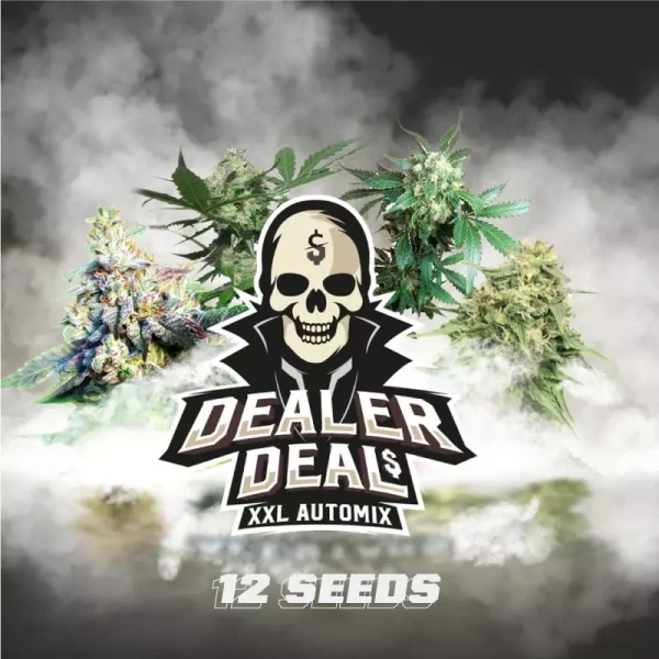 Dealer Deal XXL Automix - Imagem 4