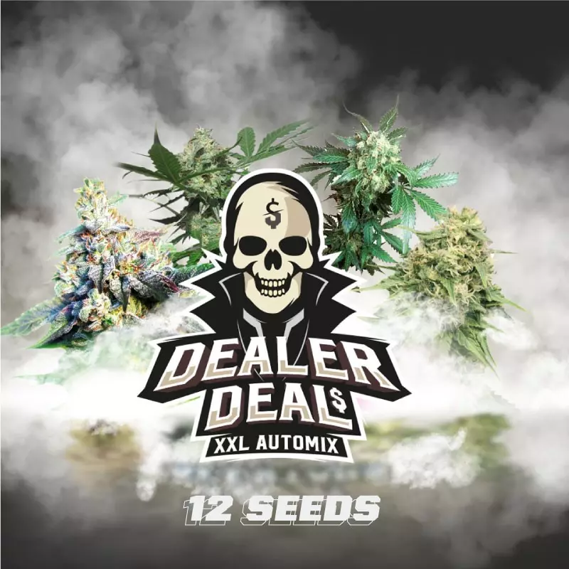 Dealer Deal XXL Automix - Imagem 4