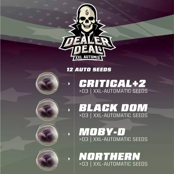 Dealer Deal XXL Automix - Imagem 3