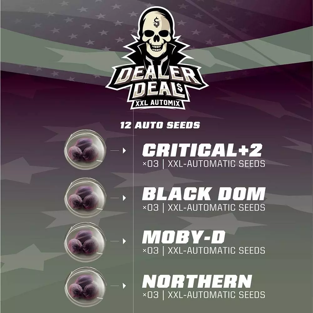 Dealer Deal XXL Automix - Imagem 3