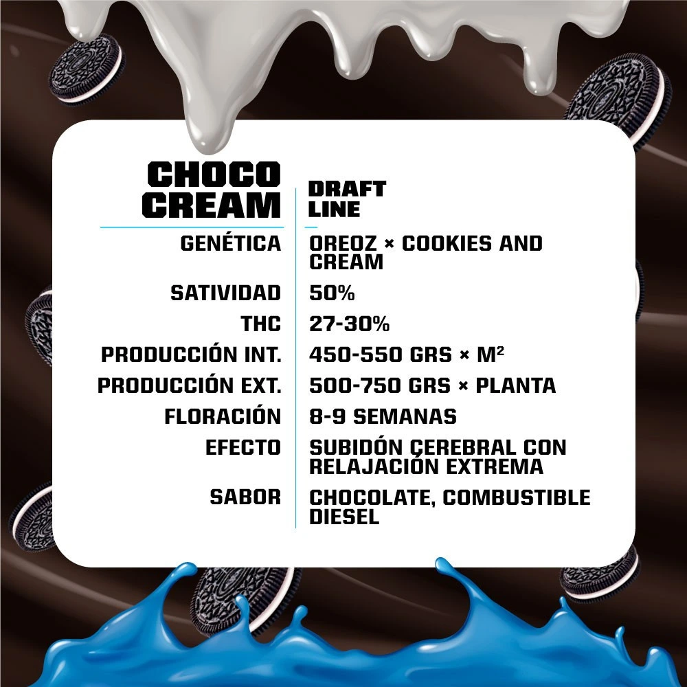 Choco Cream - Imagem 4