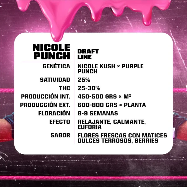 Nicole Punch - Imagem 3