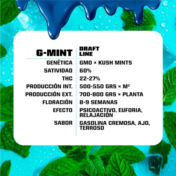 G-Mint - Imagem 3