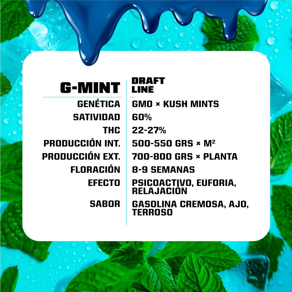 G-Mint - Imagem 3