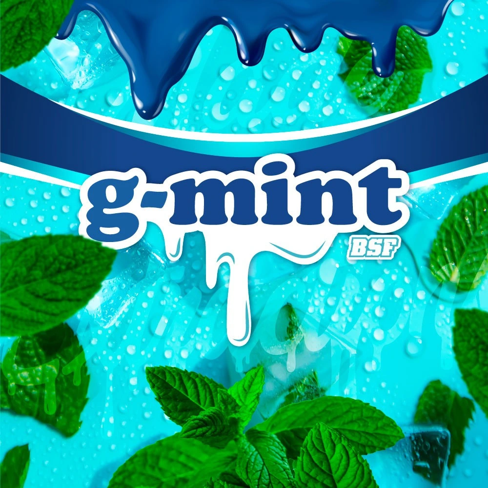 G-Mint - Imagem 4