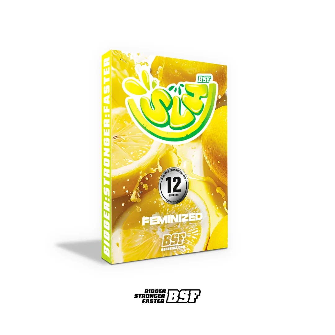 SLH - Super Lemon Haze - Imagem 4