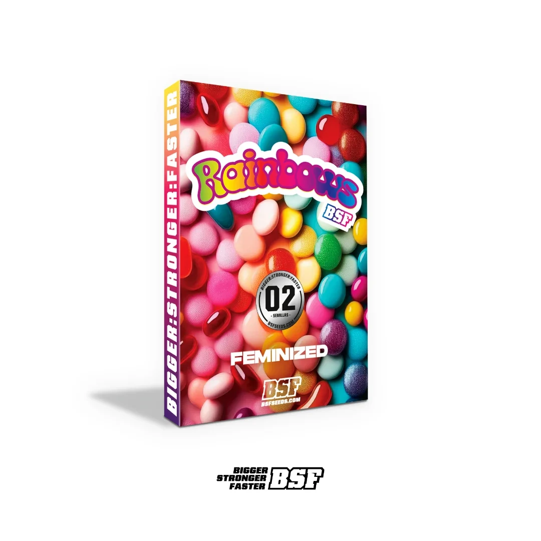 Rainbows - Imagem 4