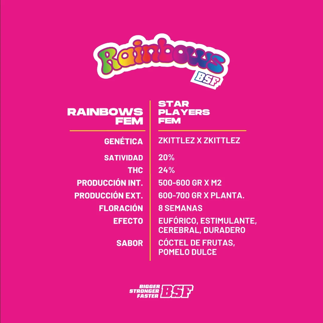 Rainbows - Imagem 5